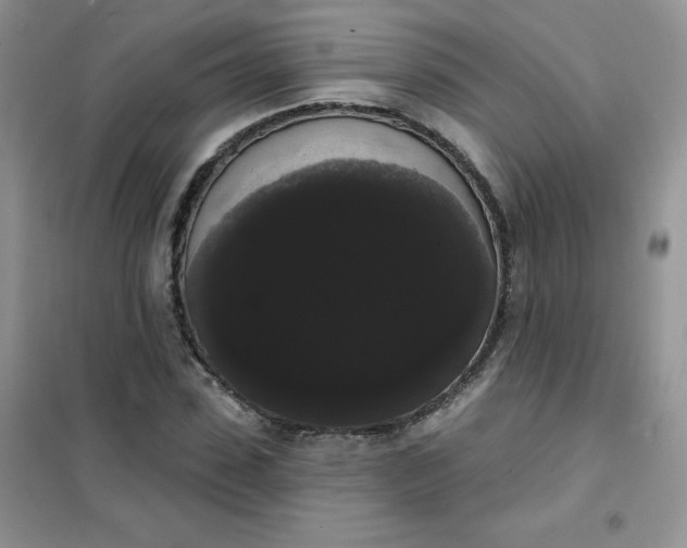 X0000101980923200808011056