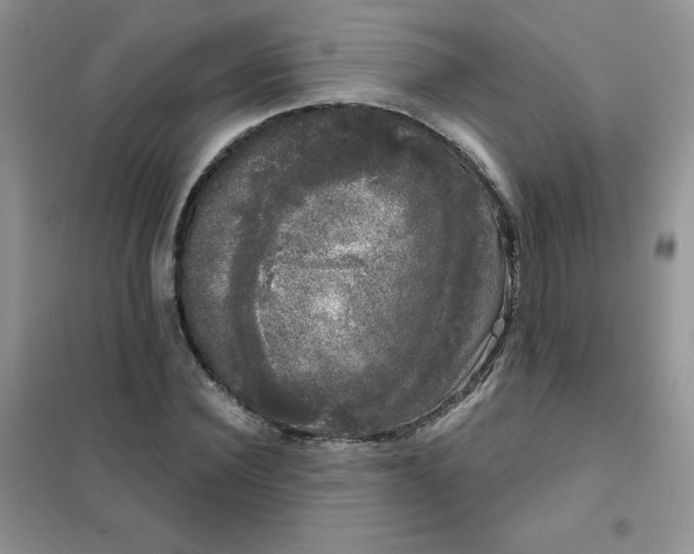 X0000101980924200808011056