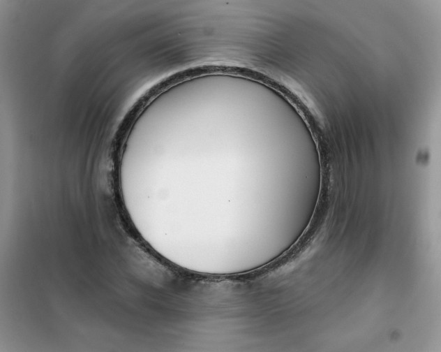 X0000101980926200808011056