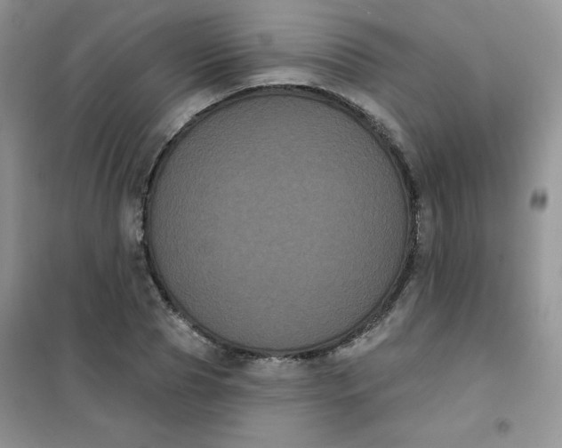 X0000101980929200808011056