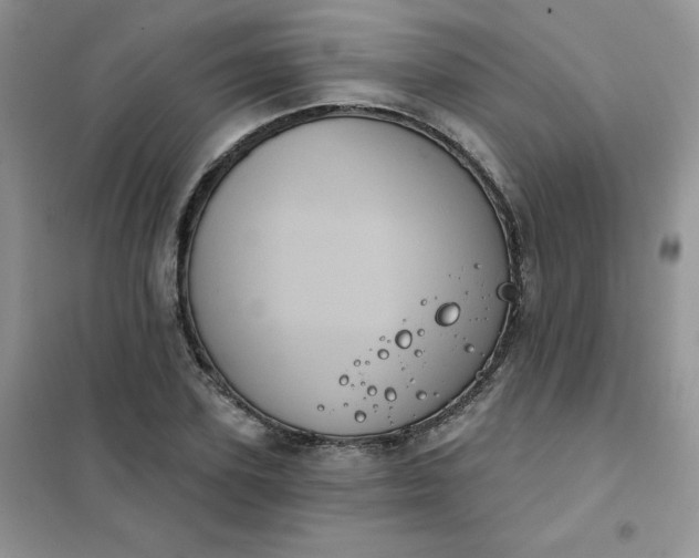 X0000101980931200808011056