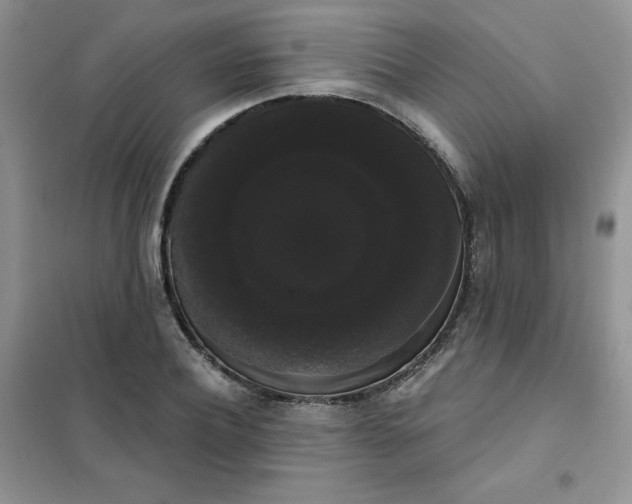 X0000101980932200808011056