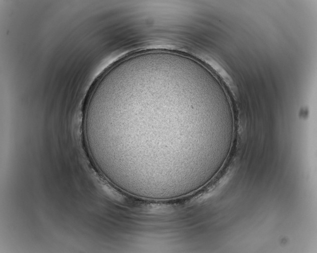 X0000101980933200808011056