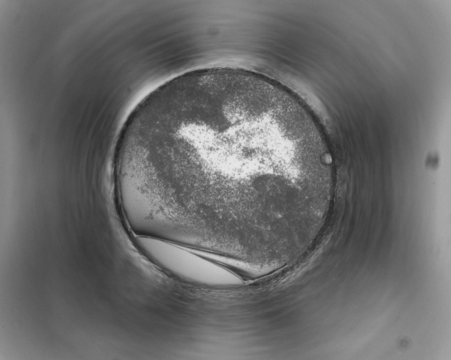 X0000101980936200808011056