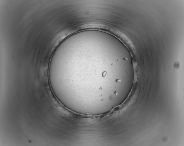 X0000101980937200808011056