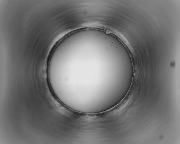 X0000101980939200808011056