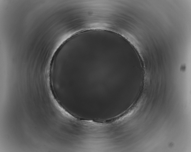 X0000101980941200808011056