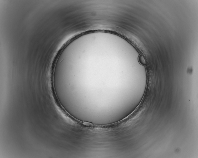 X0000101980942200808011056