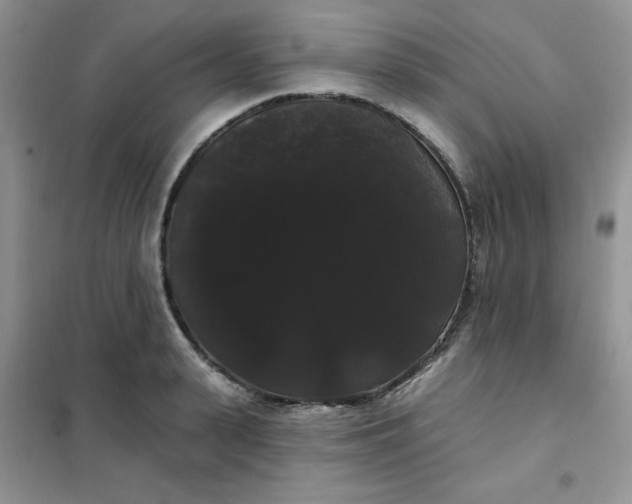 X0000101980943200808011056