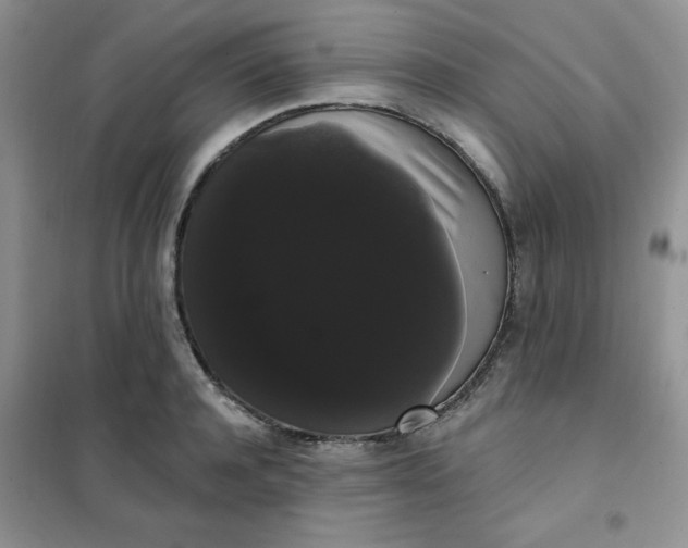 X0000101980944200808011056