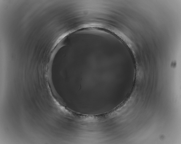 X0000101980945200808011056