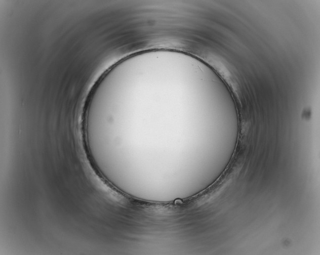 X0000101980947200808011056