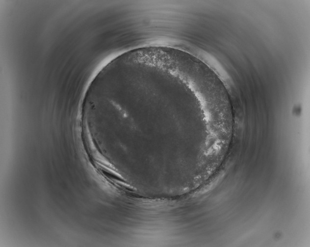 X0000101980948200808011056