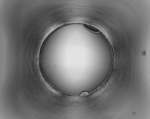 X0000101980949200808011056