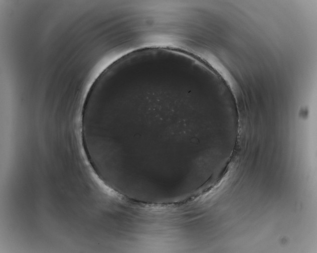 X0000101980951200808011056