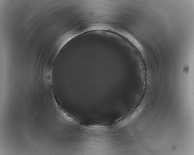 X0000101980953200808011056