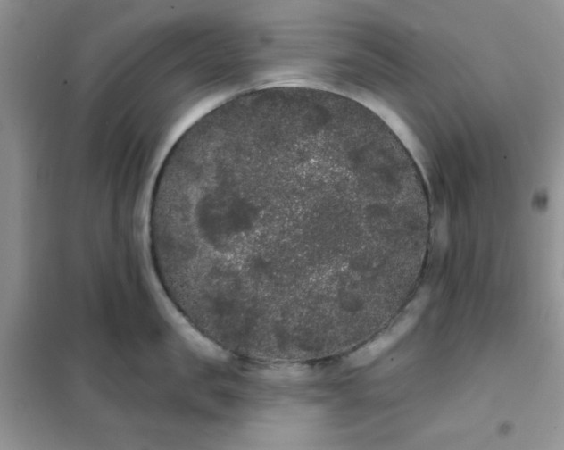 X0000101980957200808011056