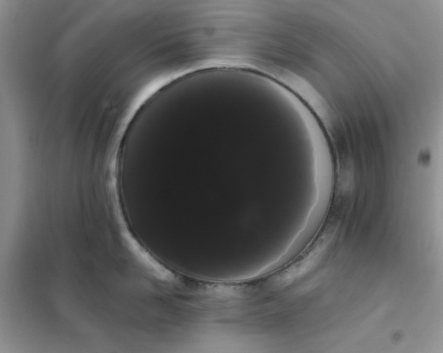 X0000101980958200808011056