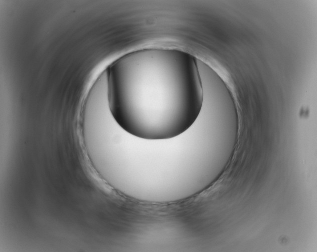 X0000101980960200808011056