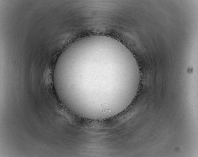 X0000101980962200808011056