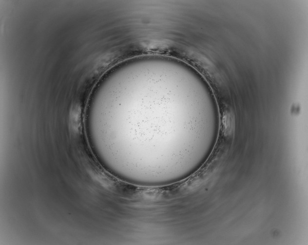 X0000101980963200808011056