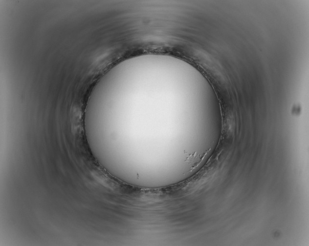 X0000101980964200808011056