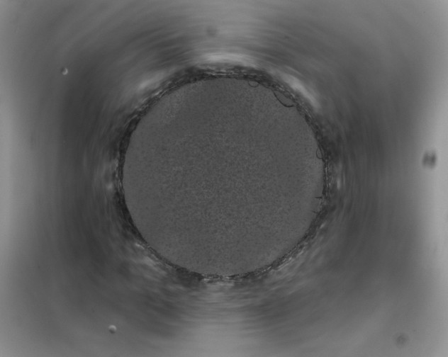 X0000101980965200808011056