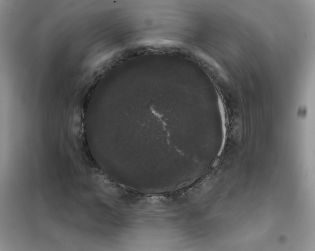 X0000101980966200808011056