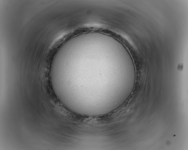 X0000101980967200808011056