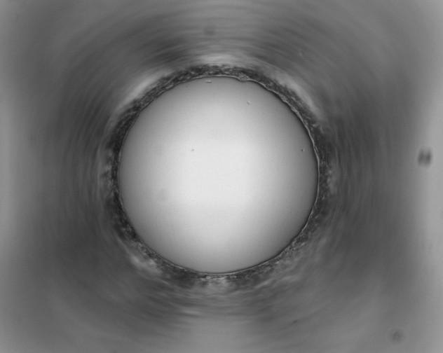 X0000101980968200808011056