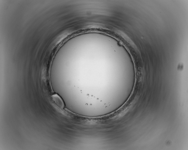 X0000101980969200808011056