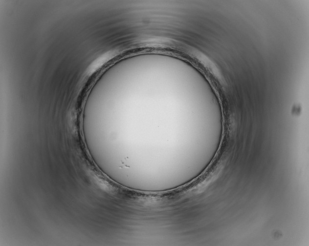 X0000101980970200808011056