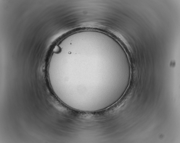 X0000101980971200808011056