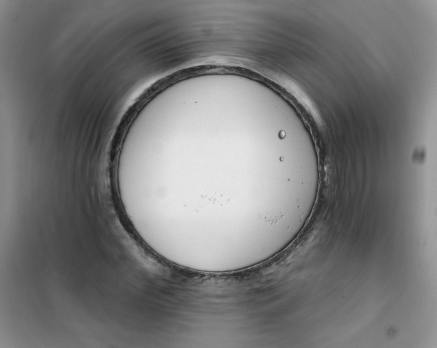 X0000101980972200808011056