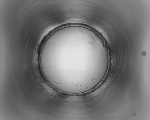 X0000101980973200808011055