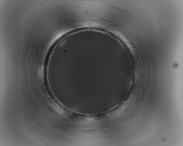 X0000101980975200808011055