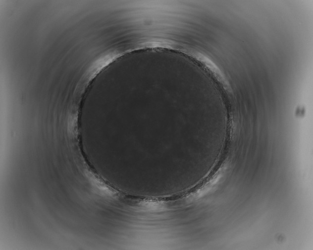 X0000101980977200808011055