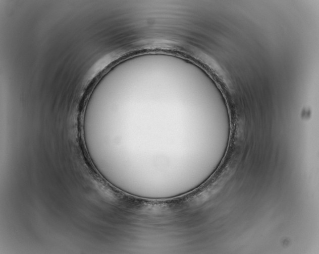 X0000101980978200808011055