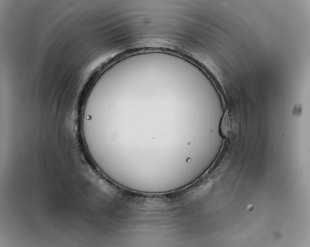 X0000101980979200808011055