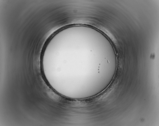 X0000101980980200808011055