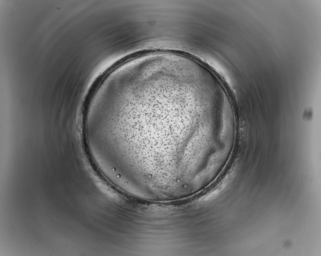 X0000101980981200808011055