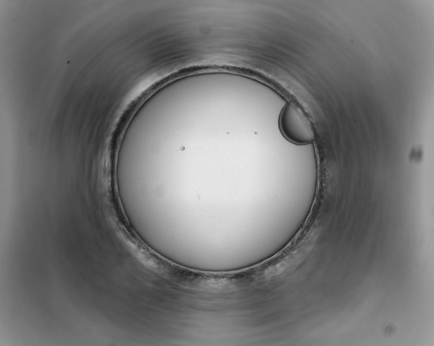 X0000101980982200808011055