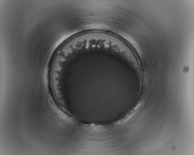 X0000101980983200808011055