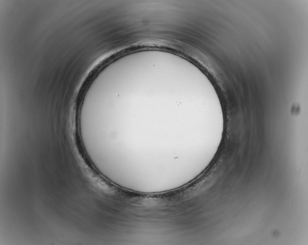 X0000101980984200808011055