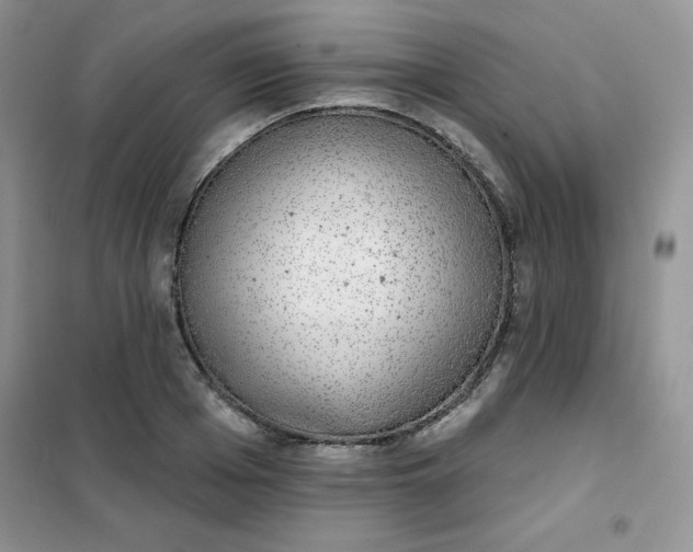 X0000101980985200808011055