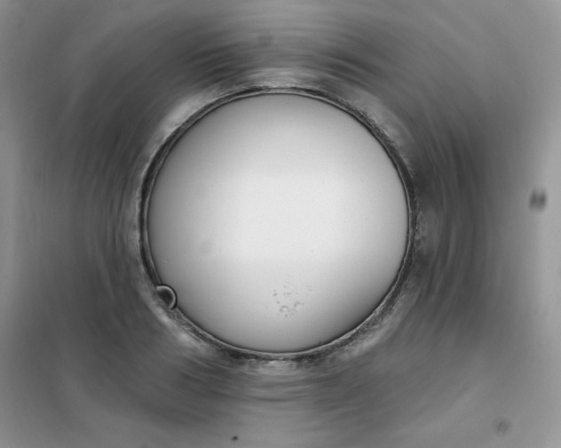 X0000101980986200808011055