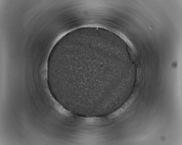 X0000101980988200808011055