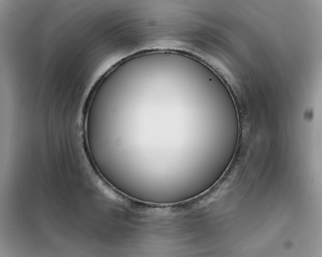 X0000101980990200808011055