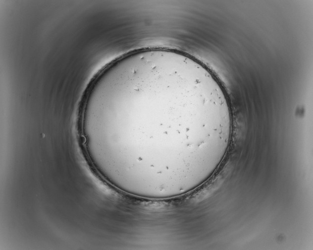 X0000101980991200808011055