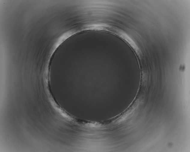 X0000101980994200808011055